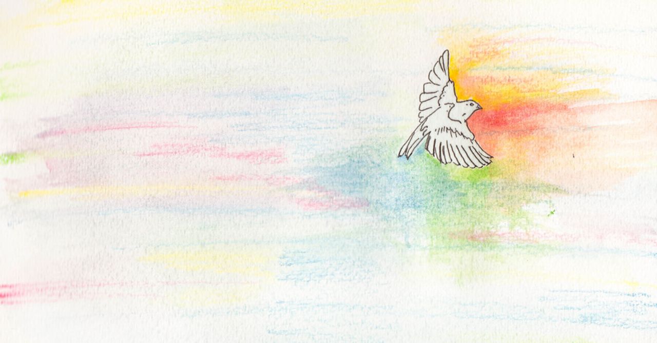 a watercolor of a bird