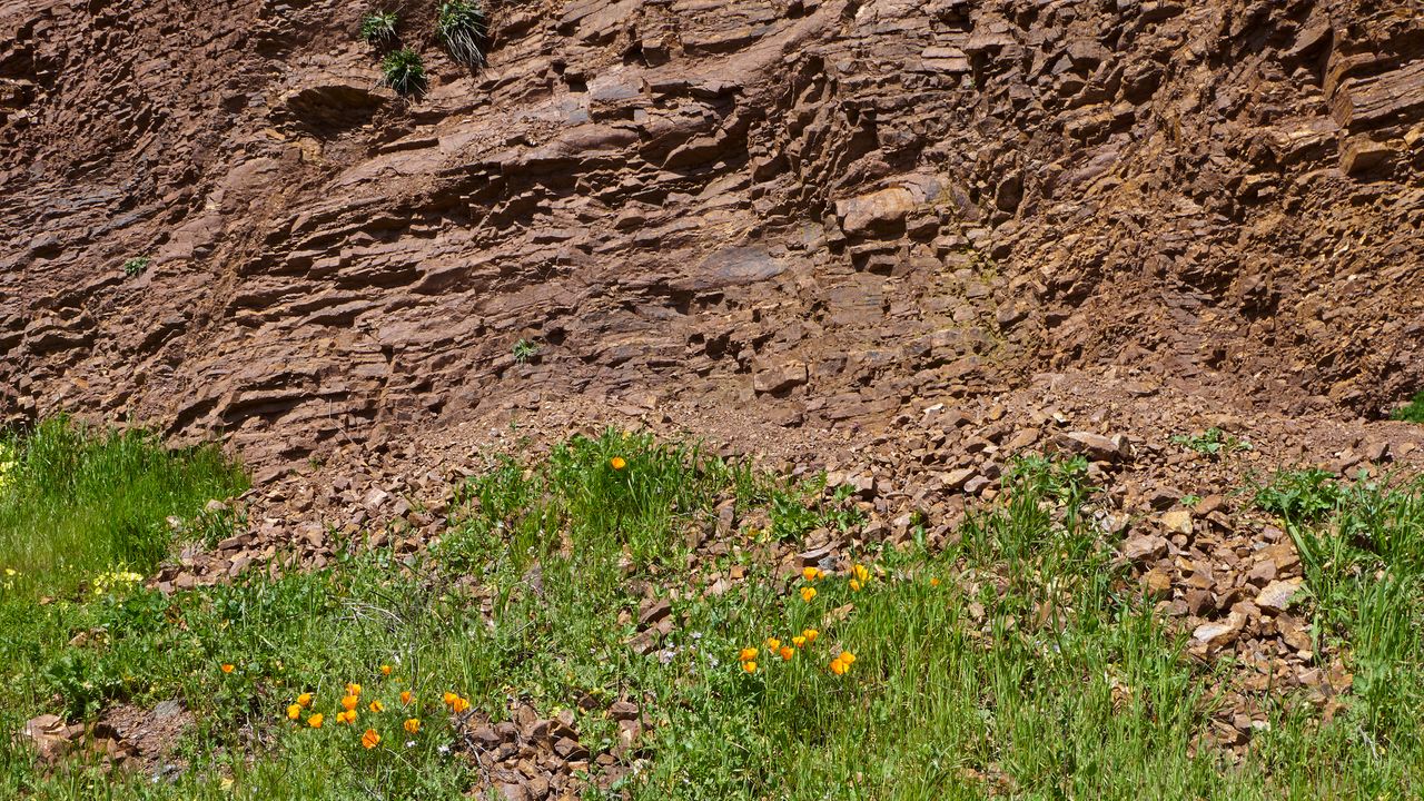 Folded layers of rock and flowers