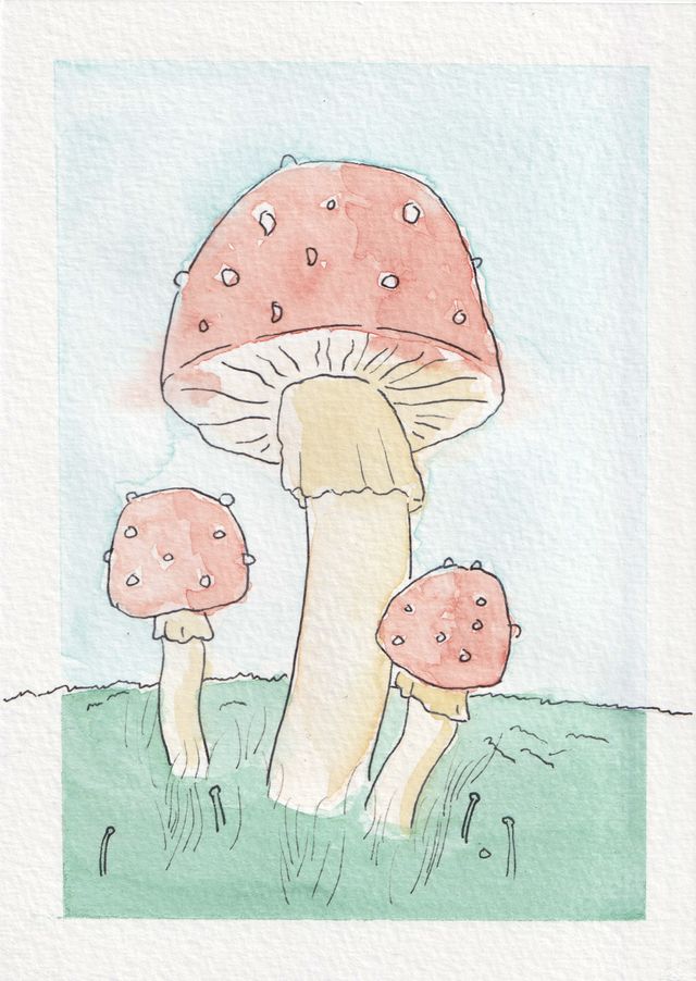 Mushrooms