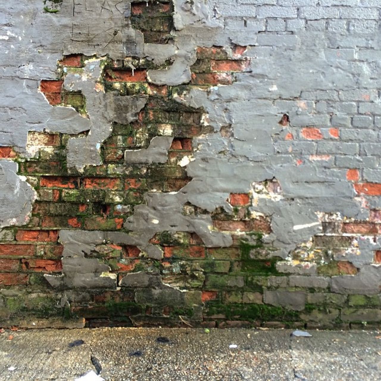 a wall in dc in one of the alleys that runs parallel to 14th street